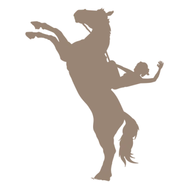 a silhouette of a horse and rider