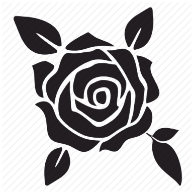 a black rose on a white background