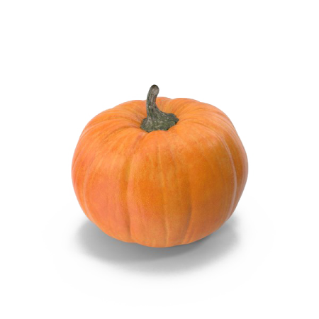a small pumpkin on a white background