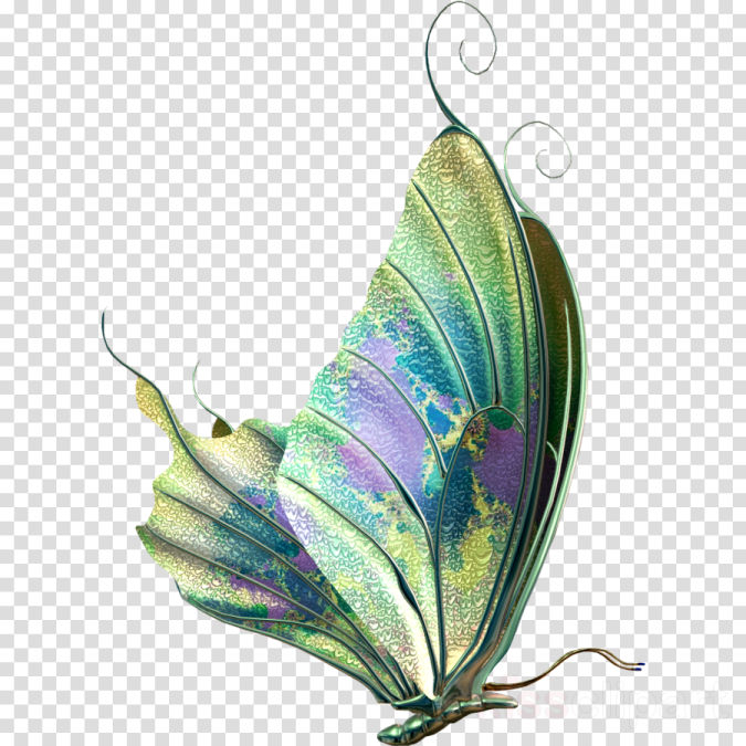 a green and purple butterfly on a transparent background