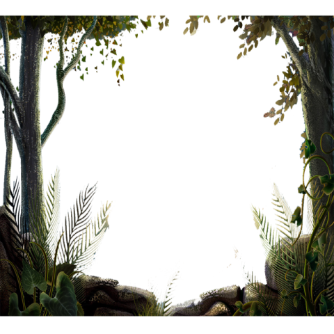 an image of a jungle scene with trees and plants