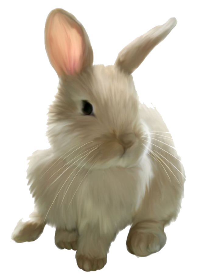 a white rabbit with long ears