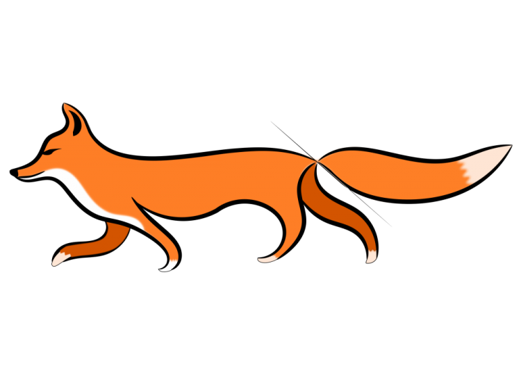 an orange fox walking across a white background