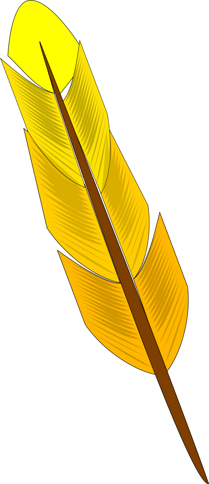 a yellow feather on a white background