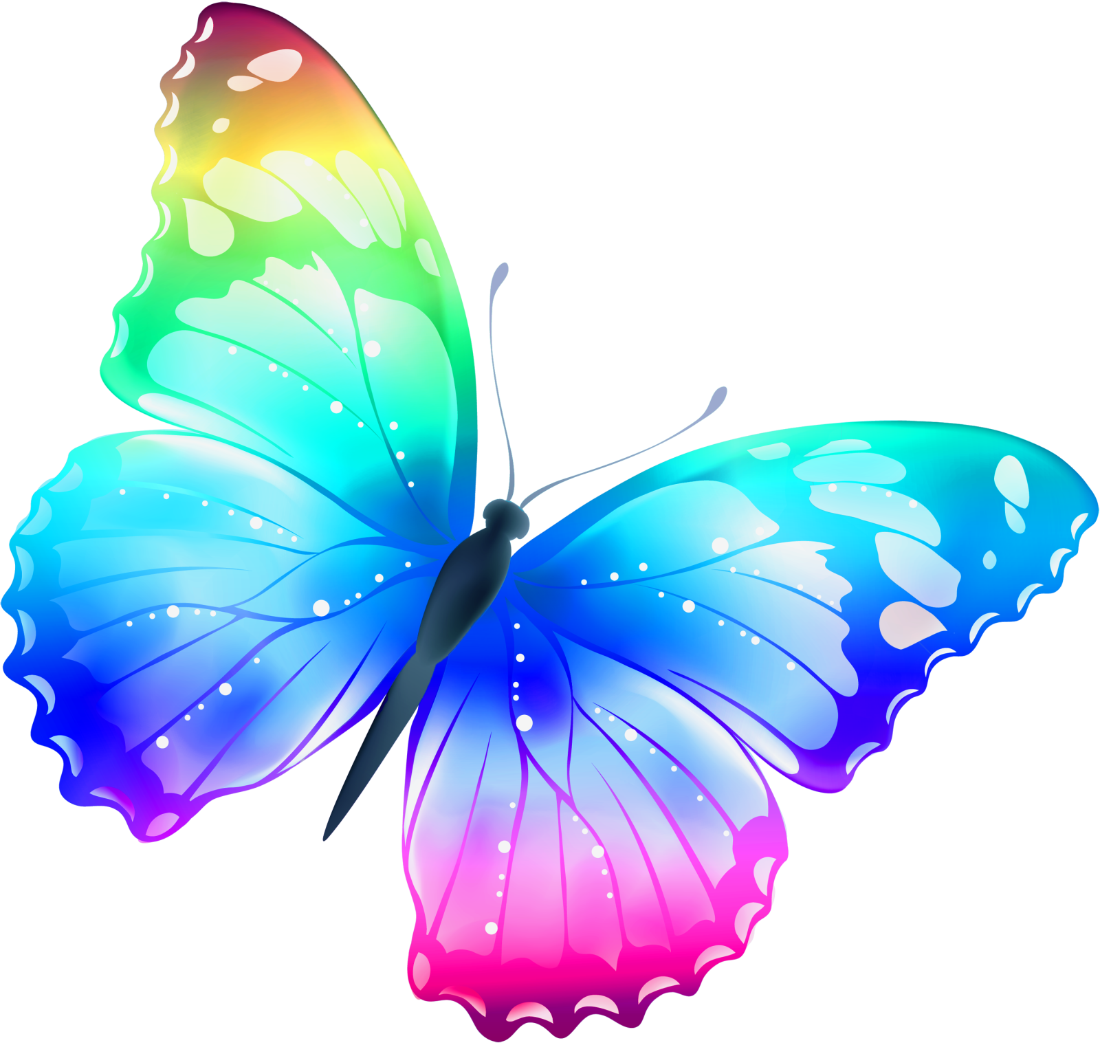 a colorful butterfly on white background
