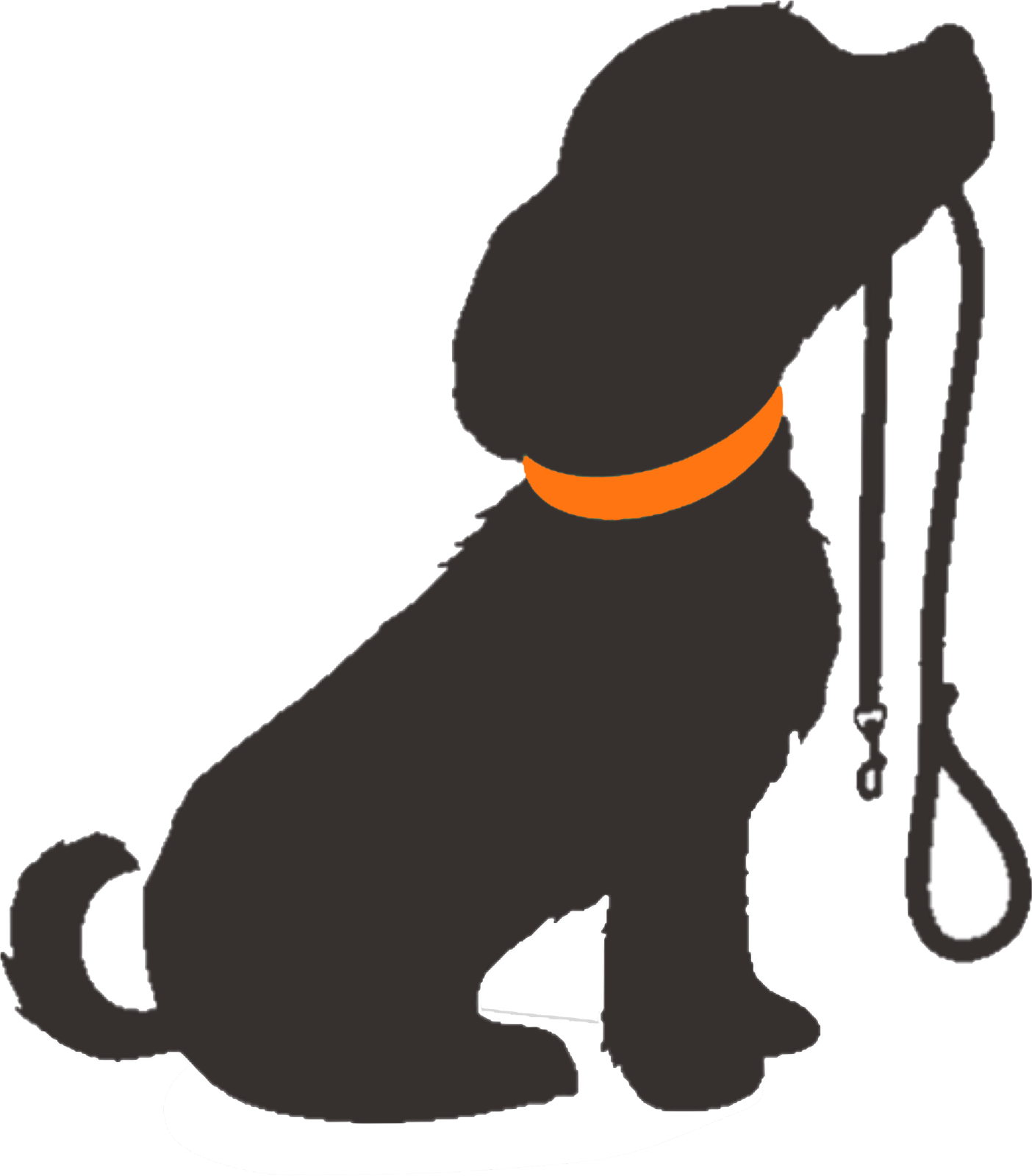 a black dog with an orange collar and leash