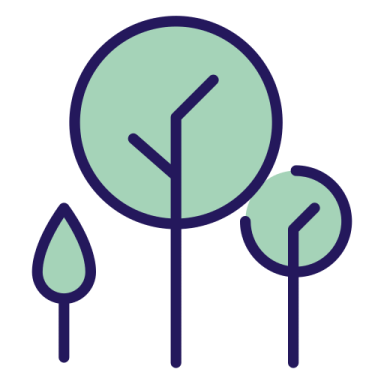 a green tree with two leaves