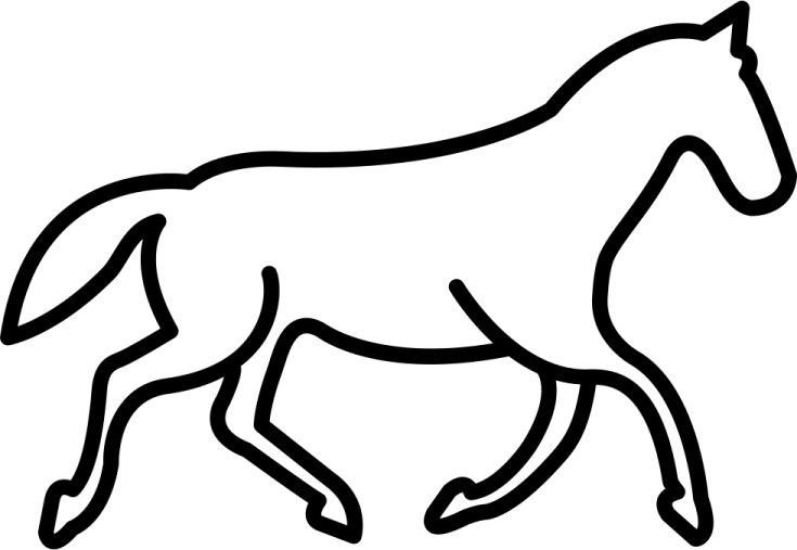 a black and white drawing of a horse