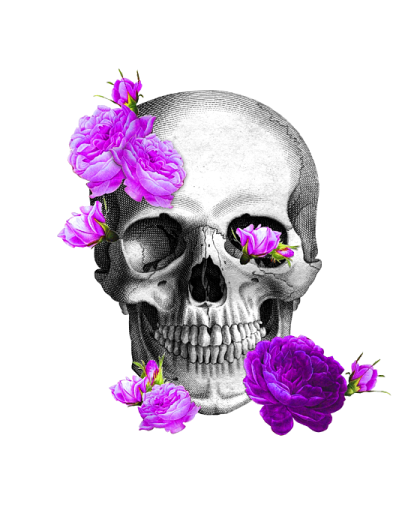 a skull with flowers in its mouth