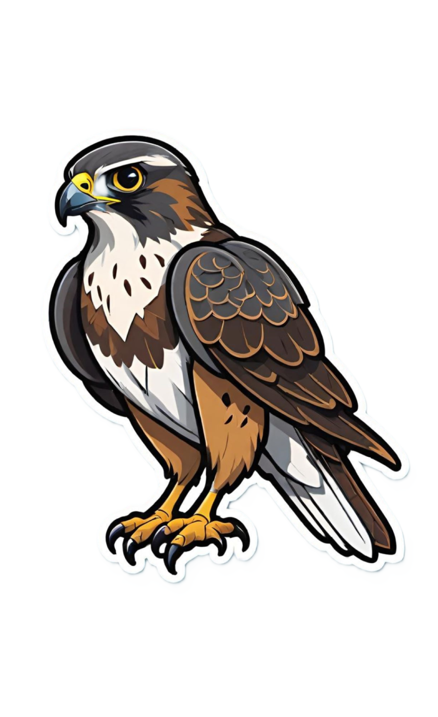 an illustration of a falcon bird