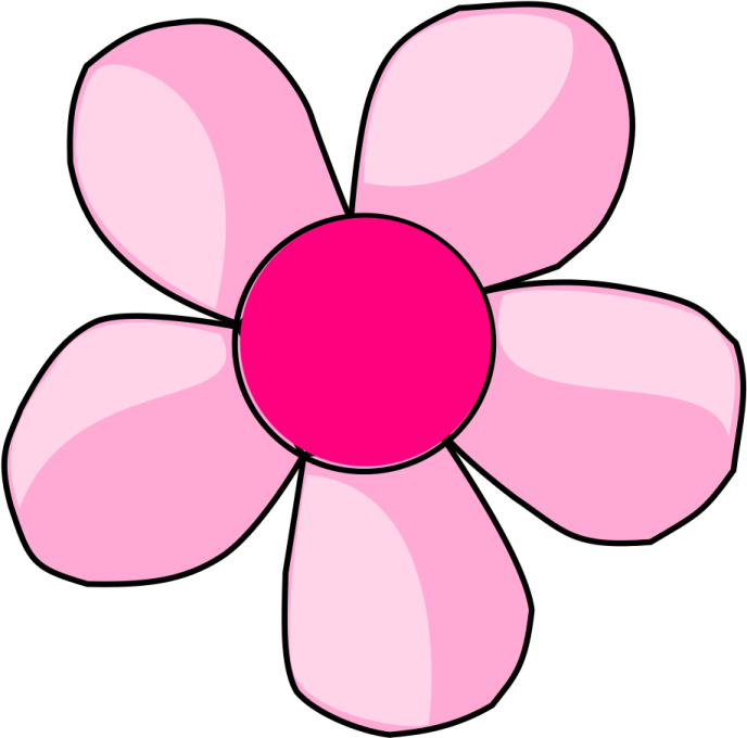 a pink flower on a white background