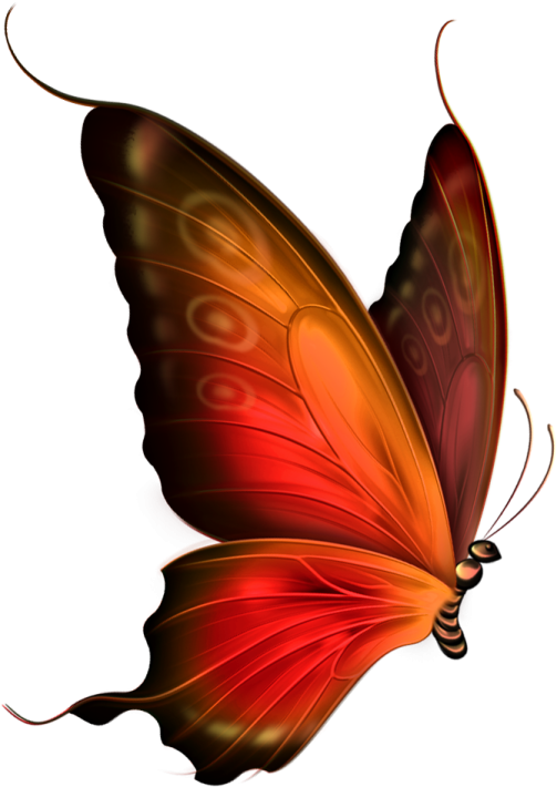 a red butterfly on a white background