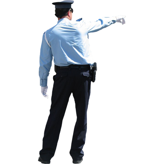 a police officer pointing at something