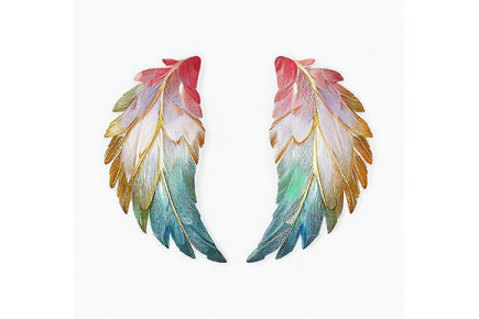 a pair of colorful feathers on white background