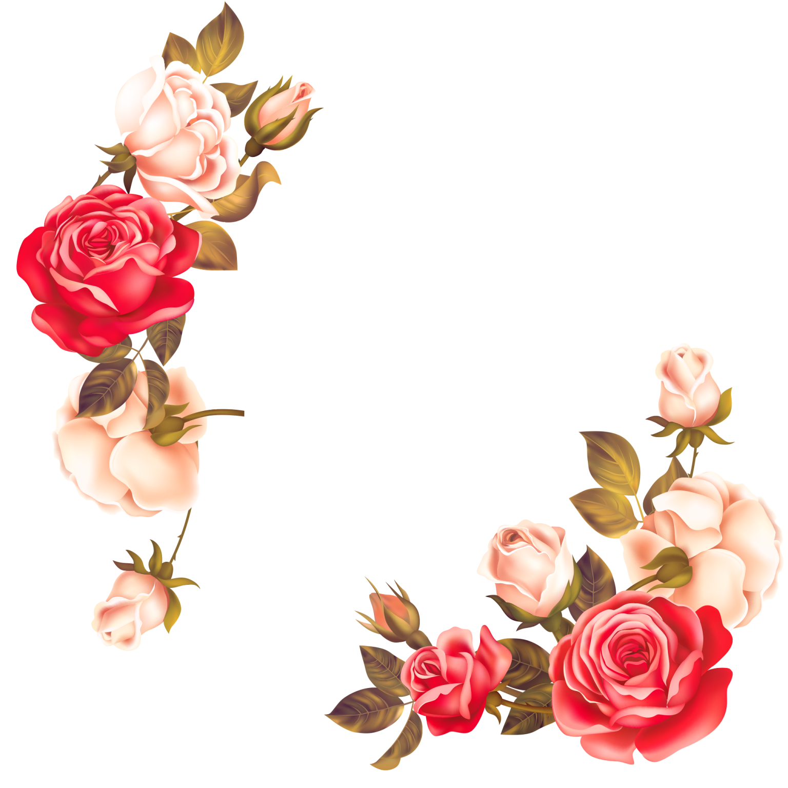 a frame with roses on a white background