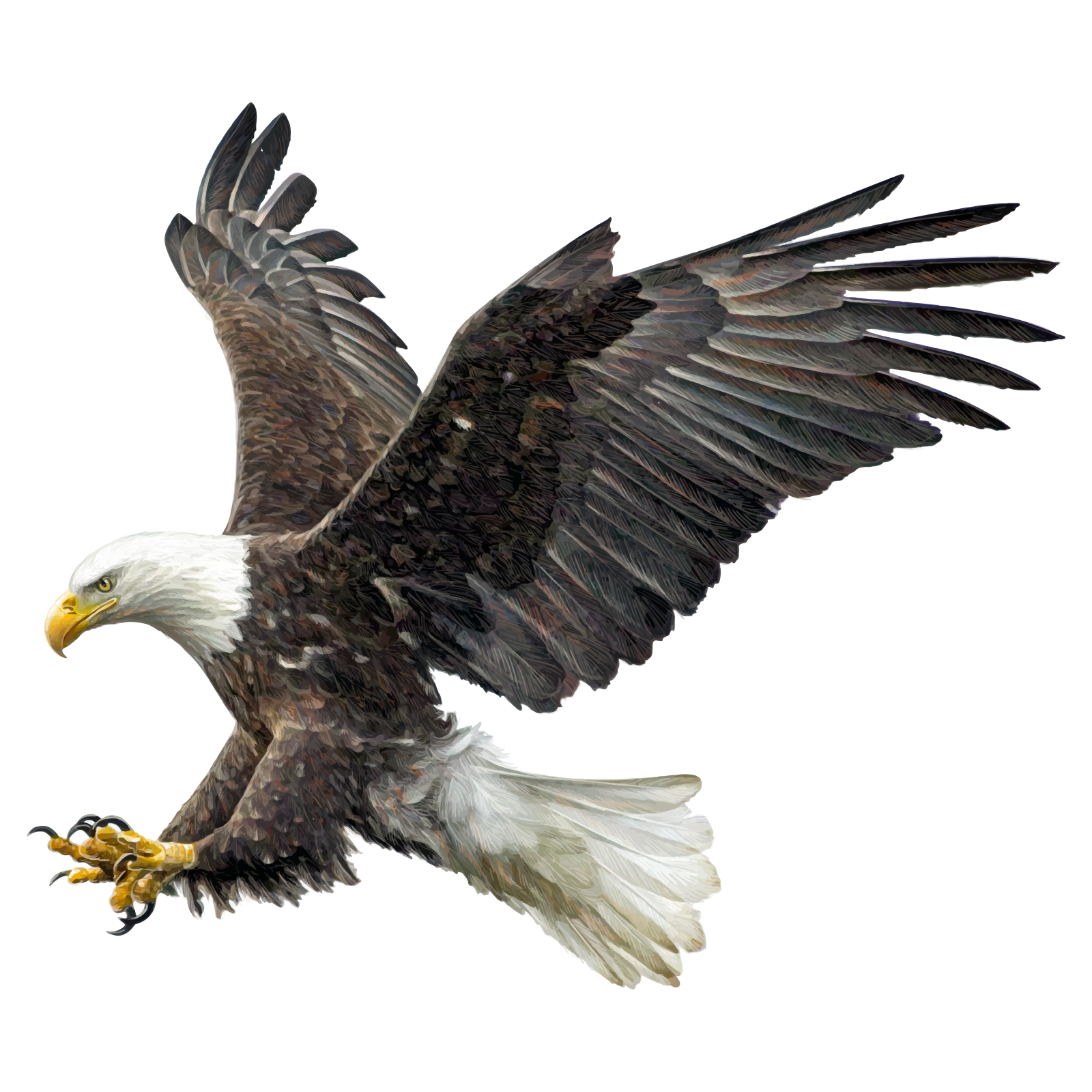 an eagle flying in the air with its wings spread