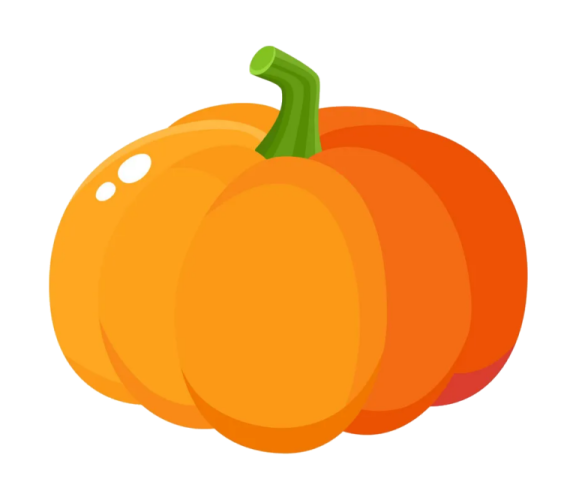 an orange pumpkin on a white background