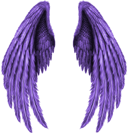 a pair of purple angel wings
