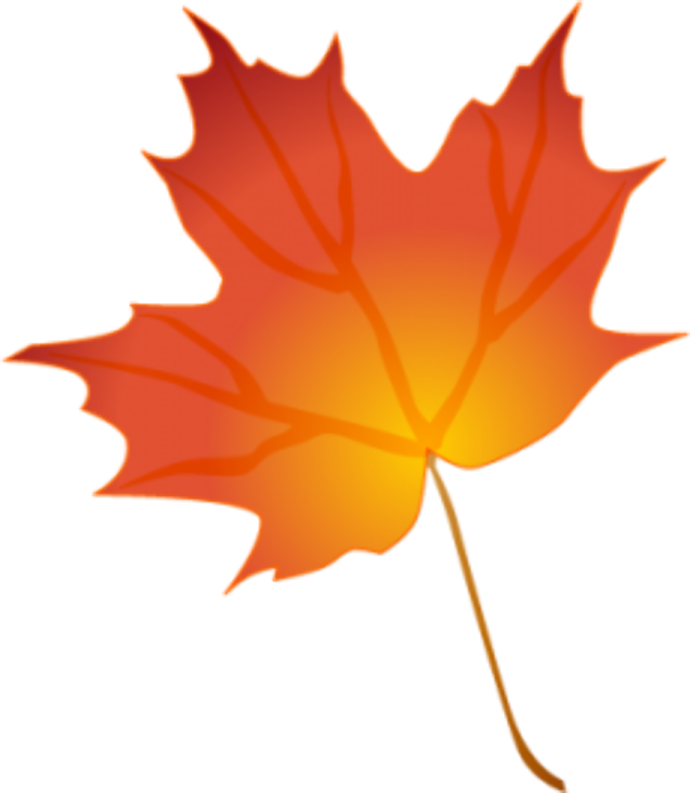 a red maple leaf