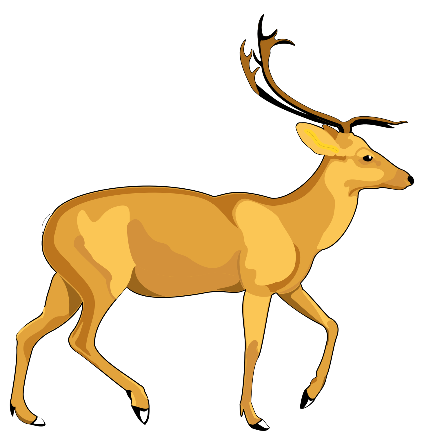 a deer with ants on its head