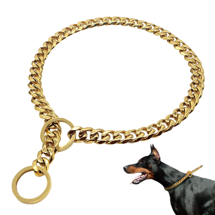 a black and brown dog wearing a gold chain