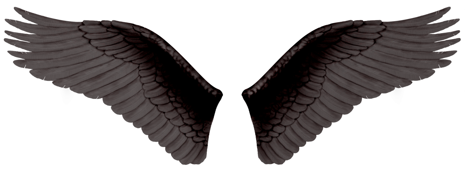 two black wings on a white background