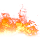 fire on a white background