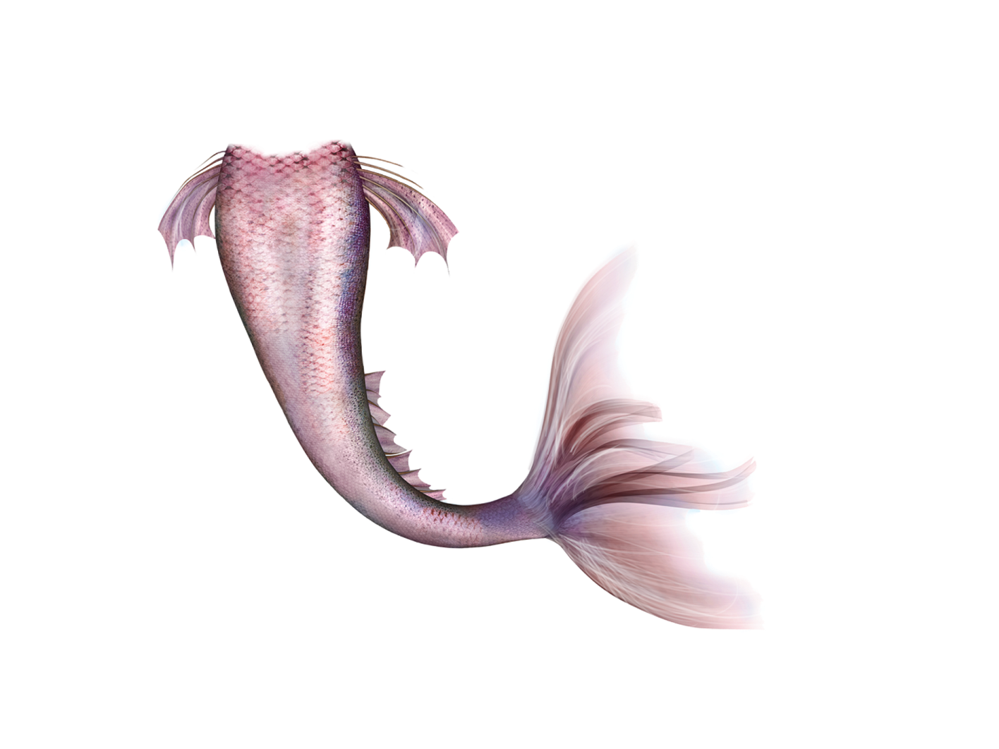 an illustration of a fish with its mouth open