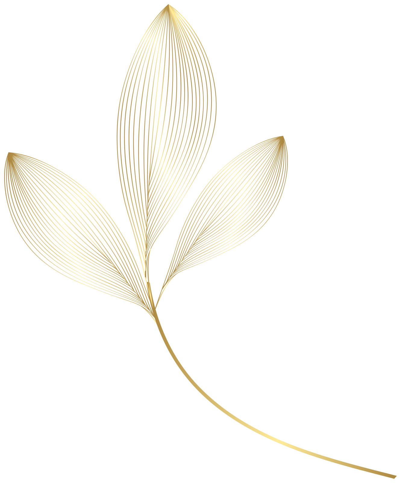 a golden leaf on a white background
