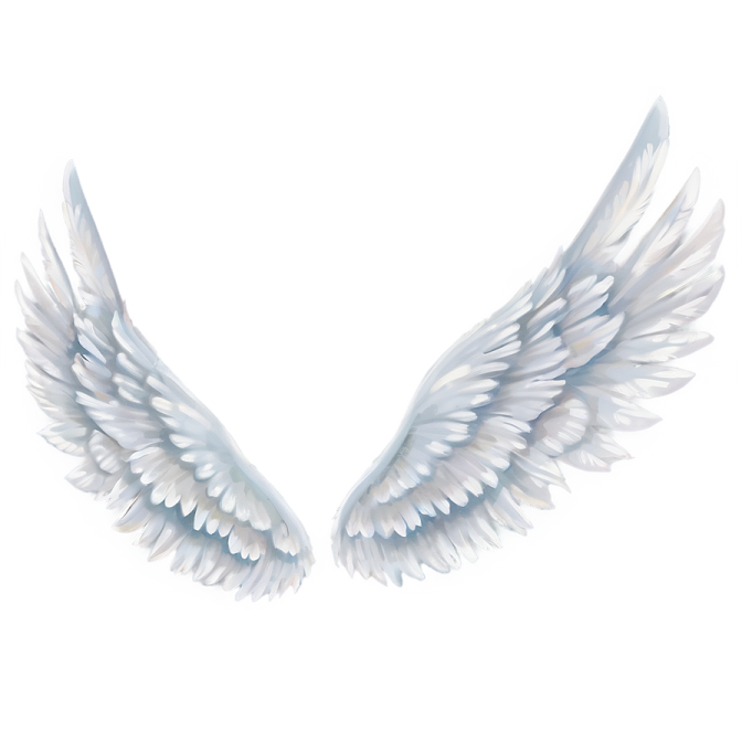 two white wings on a white background