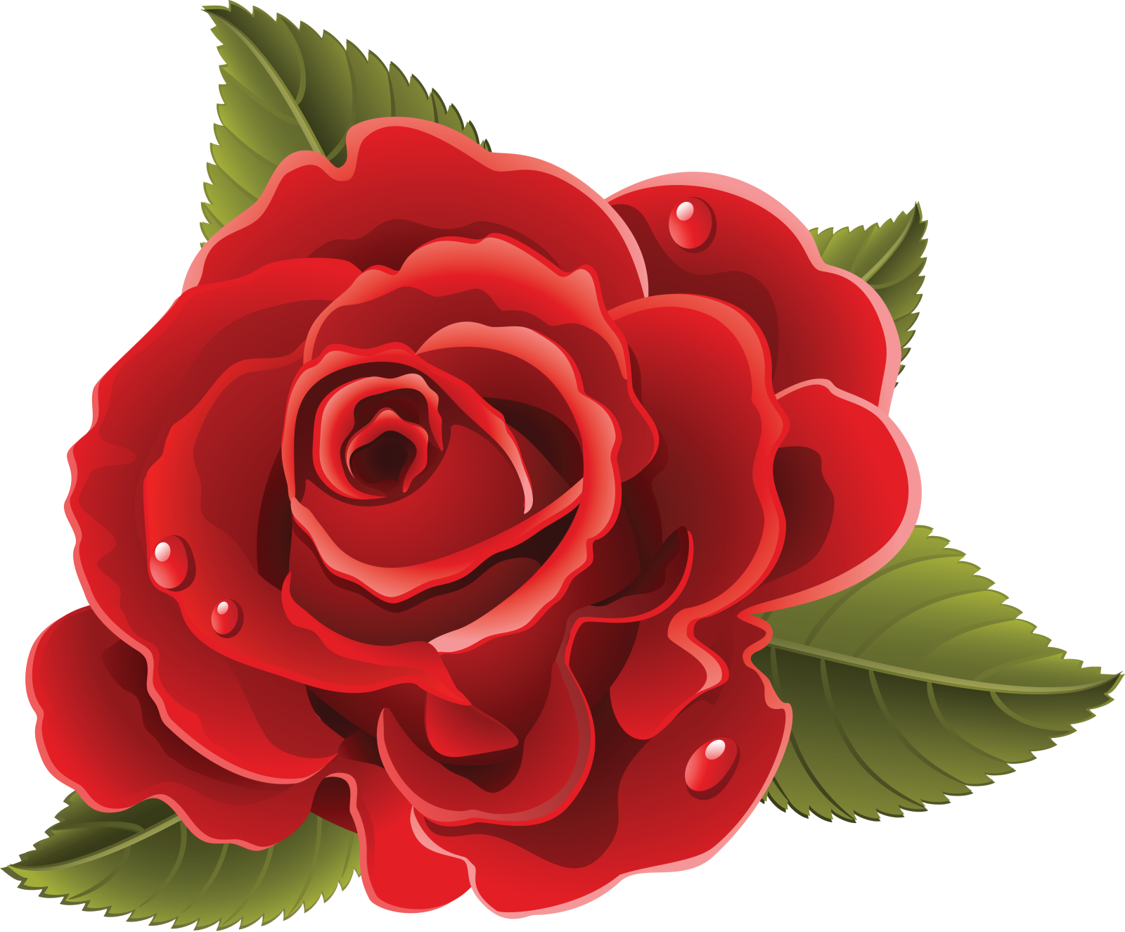 a red rose with green leaves