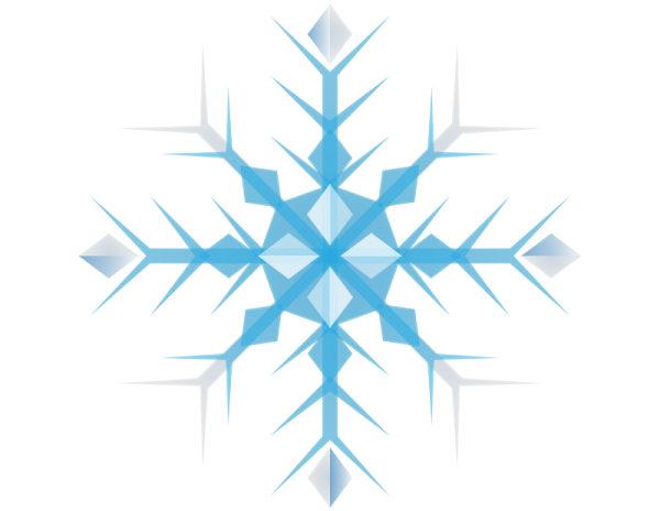 a snowflorer logo on a white background