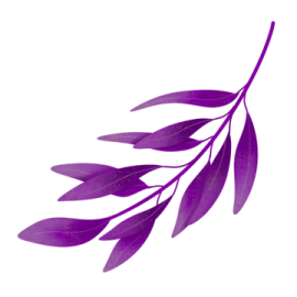 a purple leaf on a white background