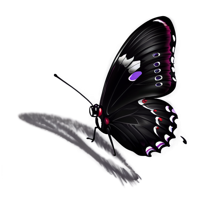 a black and purple butterfly on a white background
