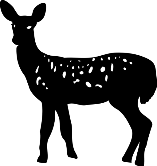 a black and white silhouette of a deer