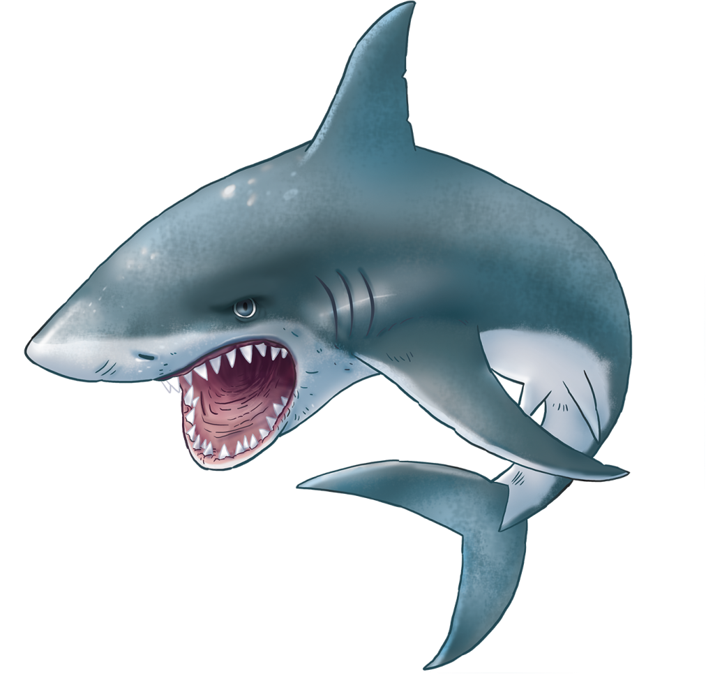 a drawing of a shark with its mouth open