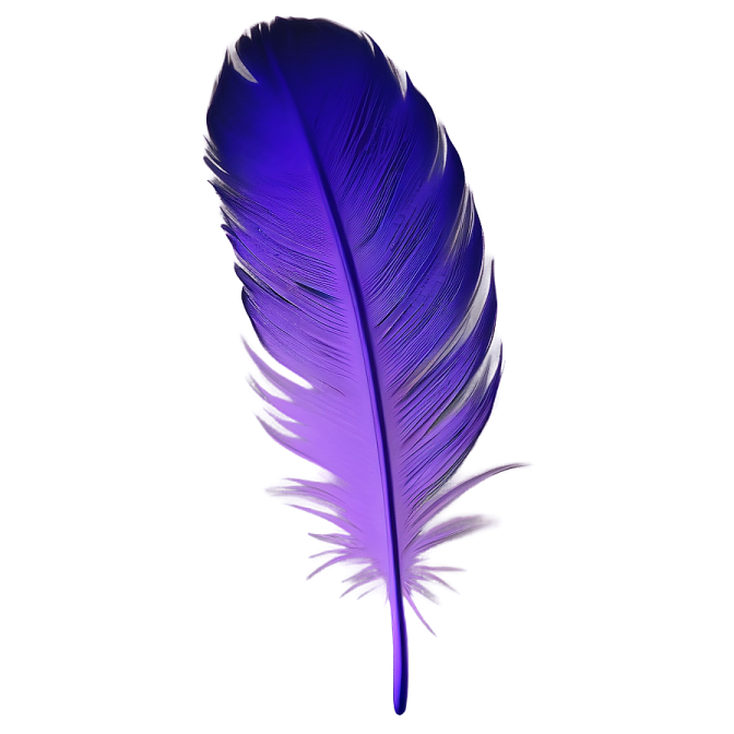 a purple feather on a white background