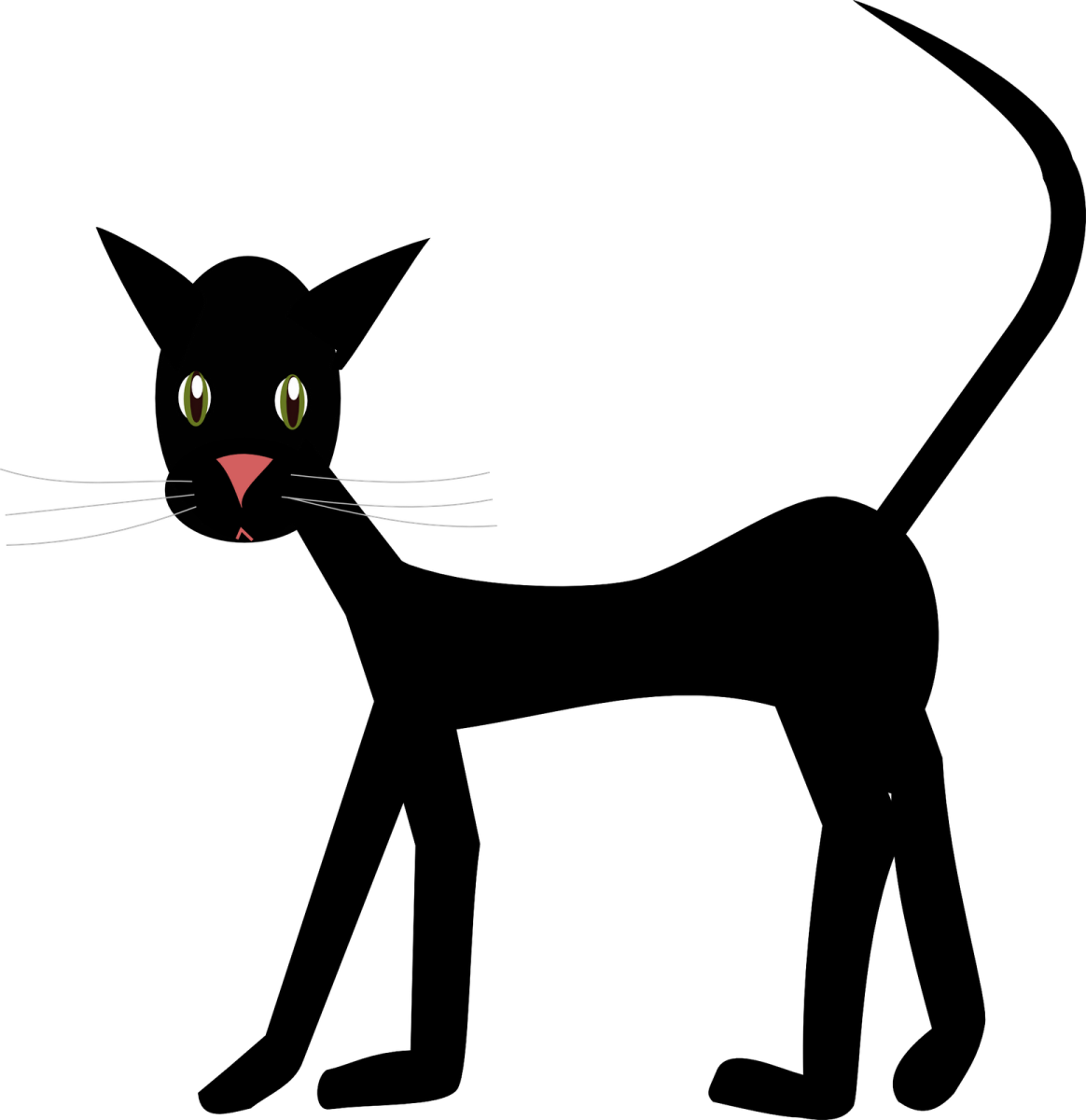a black cat silhouetted on a white background